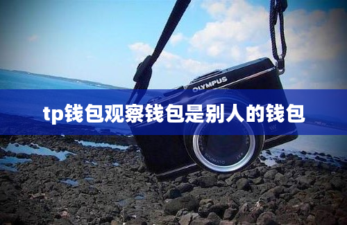 tp钱包观察钱包是别人的钱包