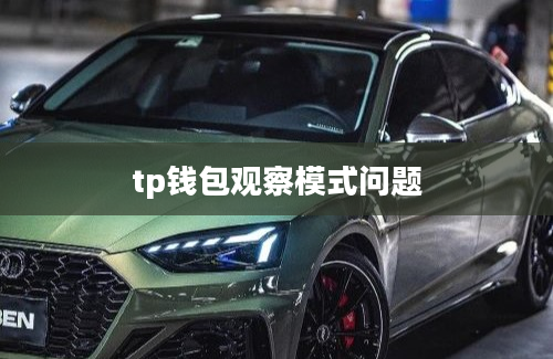 tp钱包观察模式问题