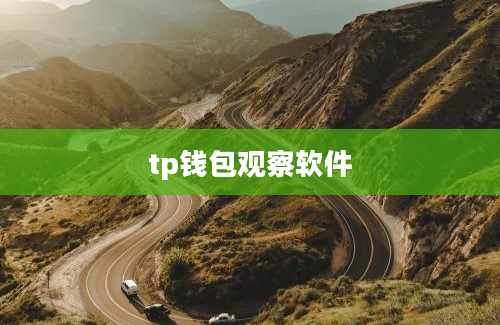 tp钱包观察软件