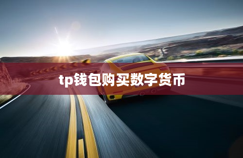 tp钱包购买数字货币