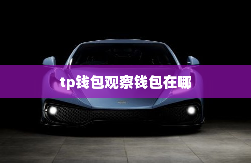 tp钱包观察钱包在哪