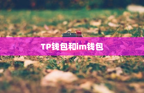 TP钱包和im钱包