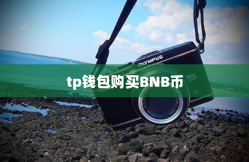 tp钱包购买BNB币