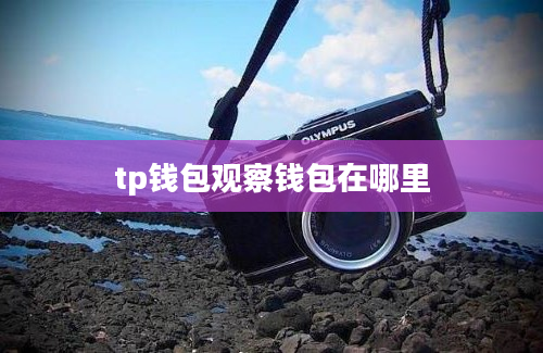 tp钱包观察钱包在哪里