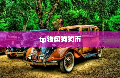 tp钱包狗狗币