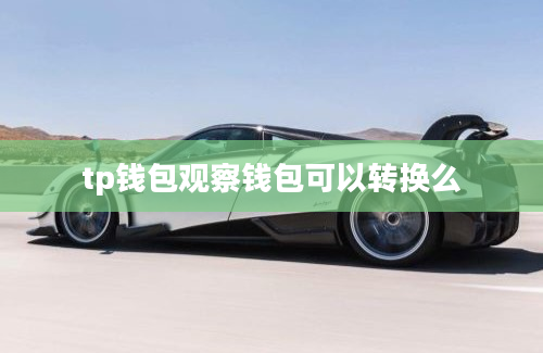 tp钱包观察钱包可以转换么