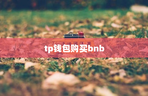 tp钱包购买bnb