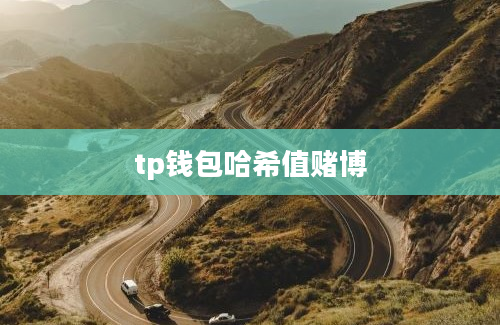 tp钱包哈希值赌博