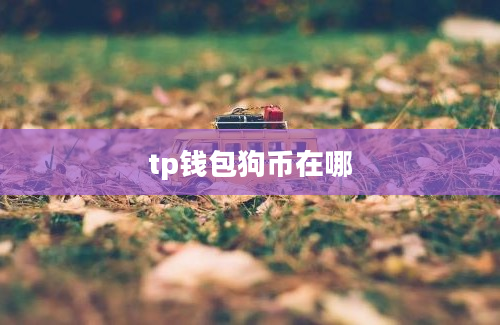 tp钱包狗币在哪