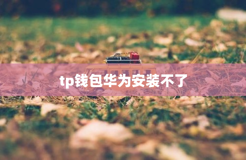tp钱包华为安装不了