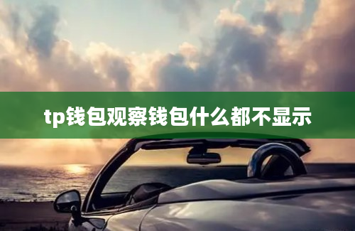 tp钱包观察钱包什么都不显示