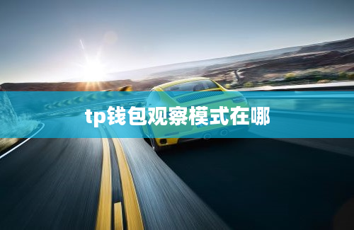 tp钱包观察模式在哪
