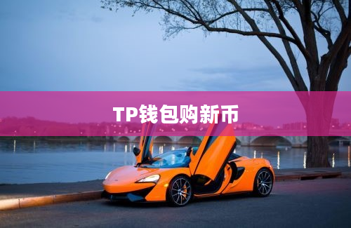 TP钱包购新币
