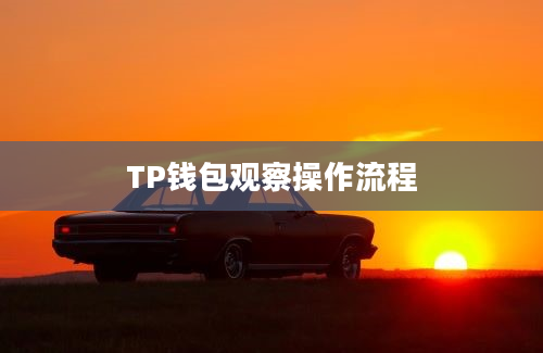 TP钱包观察操作流程