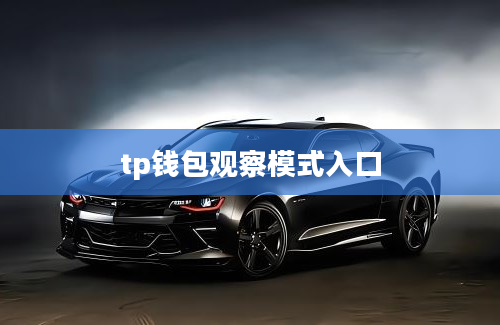 tp钱包观察模式入口