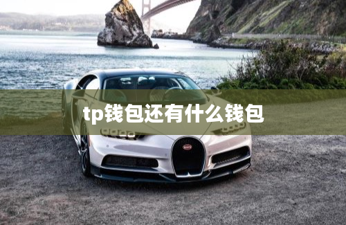 tp钱包还有什么钱包