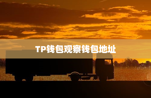 TP钱包观察钱包地址