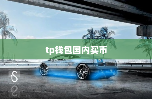 tp钱包国内买币