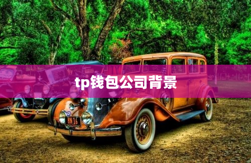 tp钱包公司背景