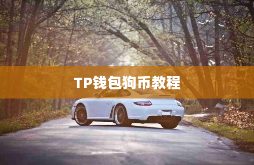 TP钱包狗币教程