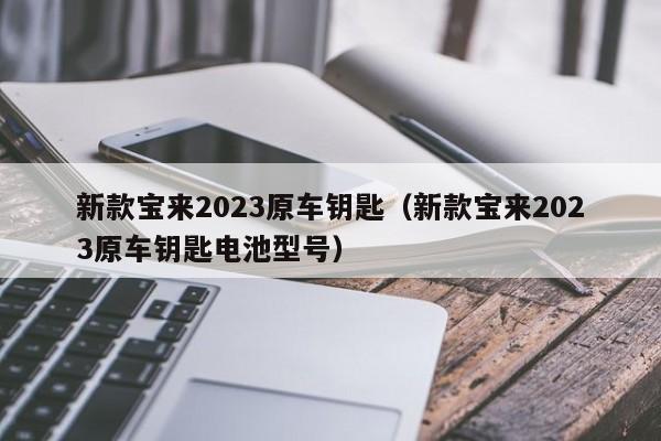 新款宝来2023原车钥匙（新款宝来2023原车钥匙电池型号）