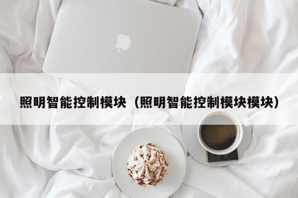 照明智能控制模块（照明智能控制模块模块）