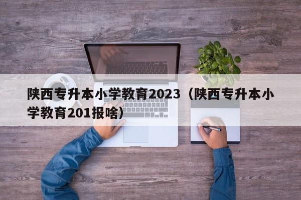 陕西专升本小学教育2023（陕西专升本小学教育201报啥）