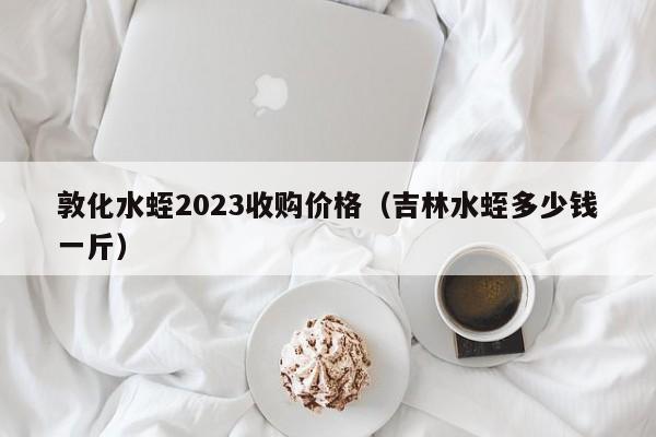 敦化水蛭2023收购价格（吉林水蛭多少钱一斤）